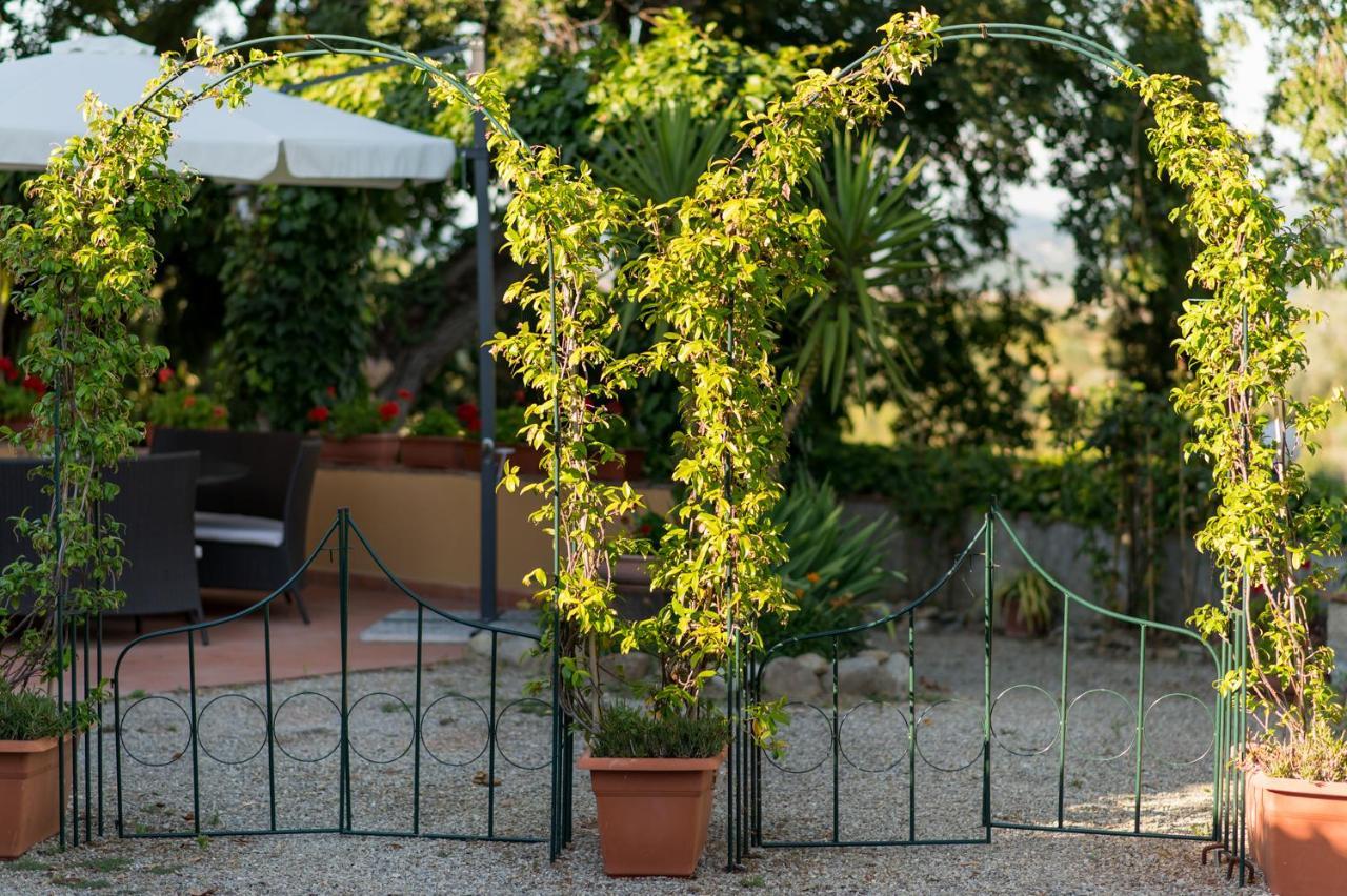 Il Leccio - Casa Toscana San Gimignano غامباسي تيرمي المظهر الخارجي الصورة