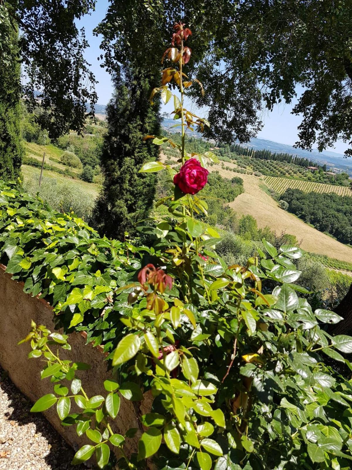 Il Leccio - Casa Toscana San Gimignano غامباسي تيرمي المظهر الخارجي الصورة