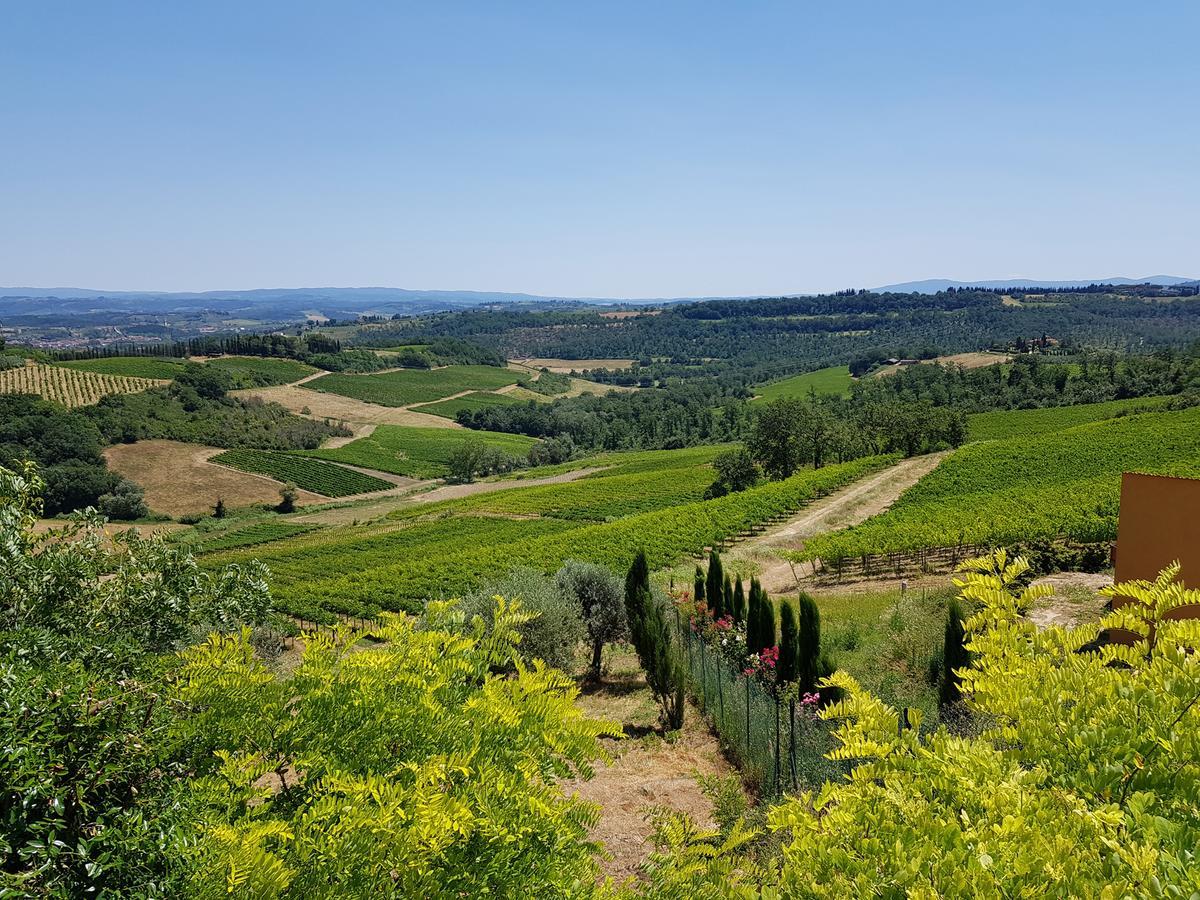 Il Leccio - Casa Toscana San Gimignano غامباسي تيرمي المظهر الخارجي الصورة