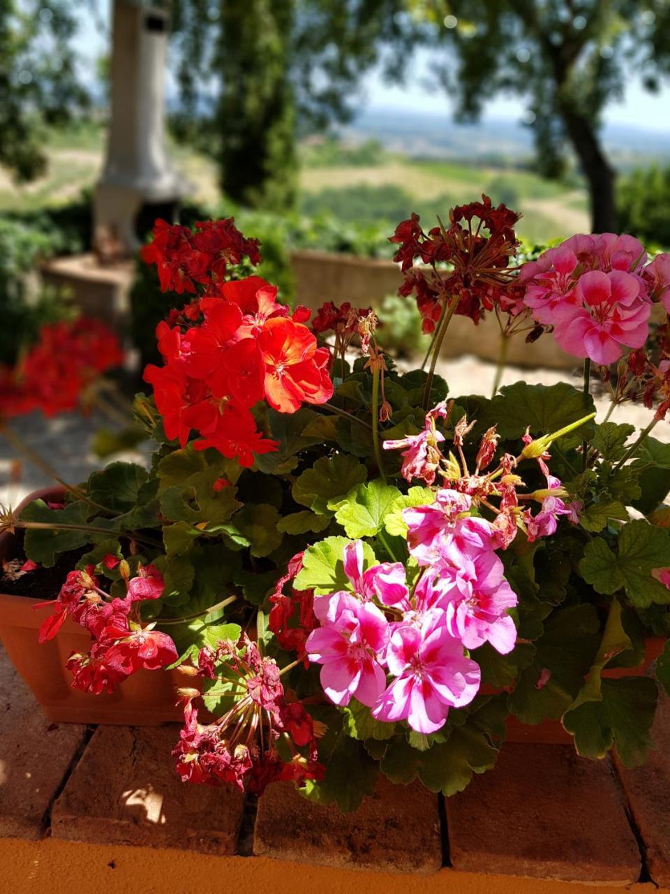 Il Leccio - Casa Toscana San Gimignano غامباسي تيرمي المظهر الخارجي الصورة